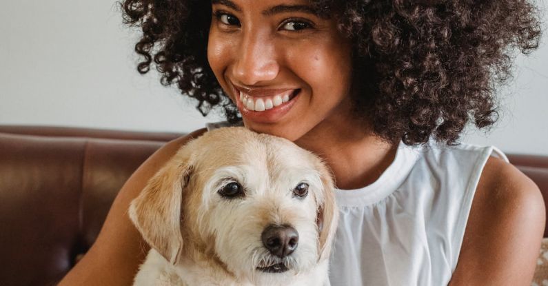 Content Calendar - Young content ethnic female with Afro hairstyle embracing cute purebred dog on couch in house while looking at camera
